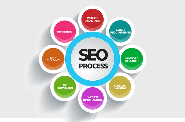 Image illustrating the symbiotic connection between SEO and web development, showcasing their collaboration in creating search engine-friendly and user-centric websites.